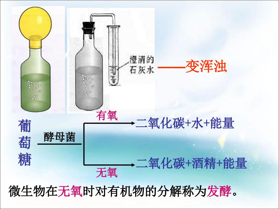 医学专题：巴氏消法巴氏消法高温灭菌2_第3页