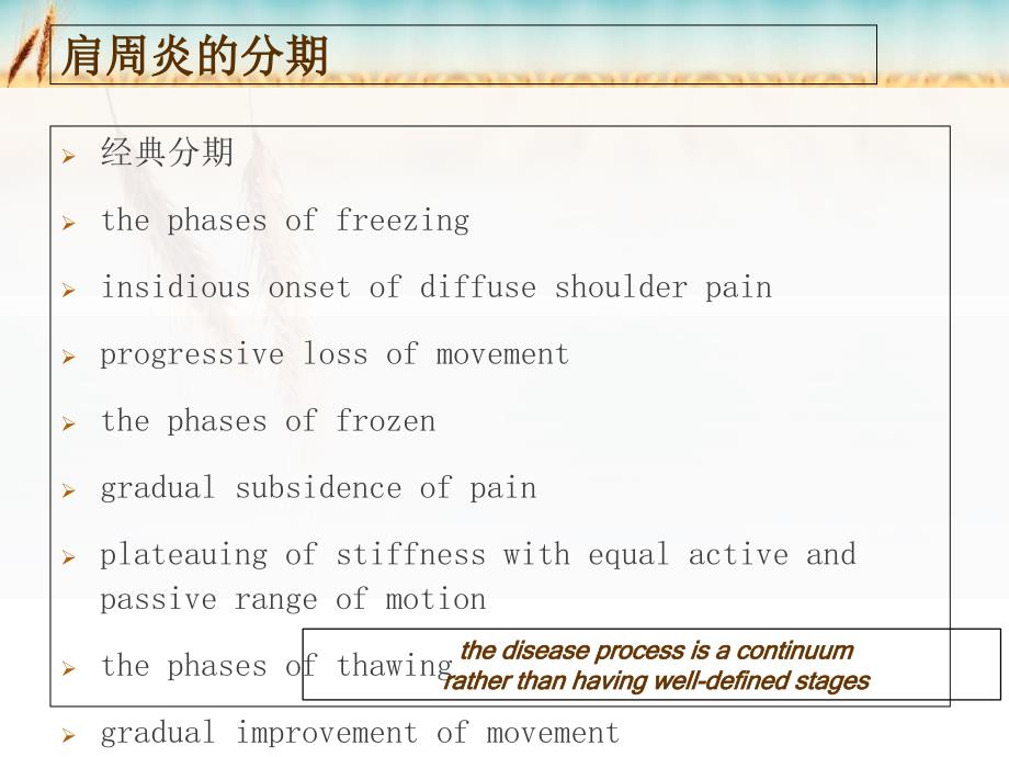 肩关节病损的康复基础和实践第二部分ppt课件_第4页