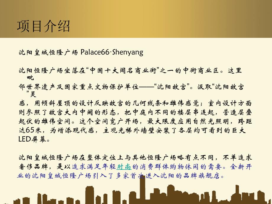 沈阳恒隆广场调研.ppt_第2页