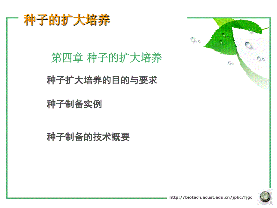 《种子的扩大培养》PPT课件.ppt_第2页