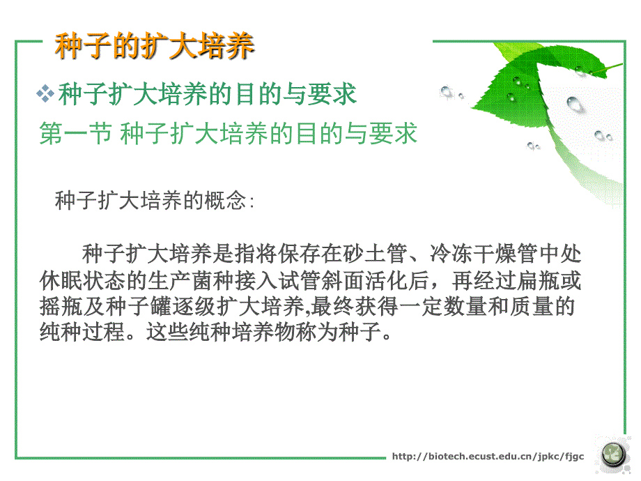 《种子的扩大培养》PPT课件.ppt_第3页