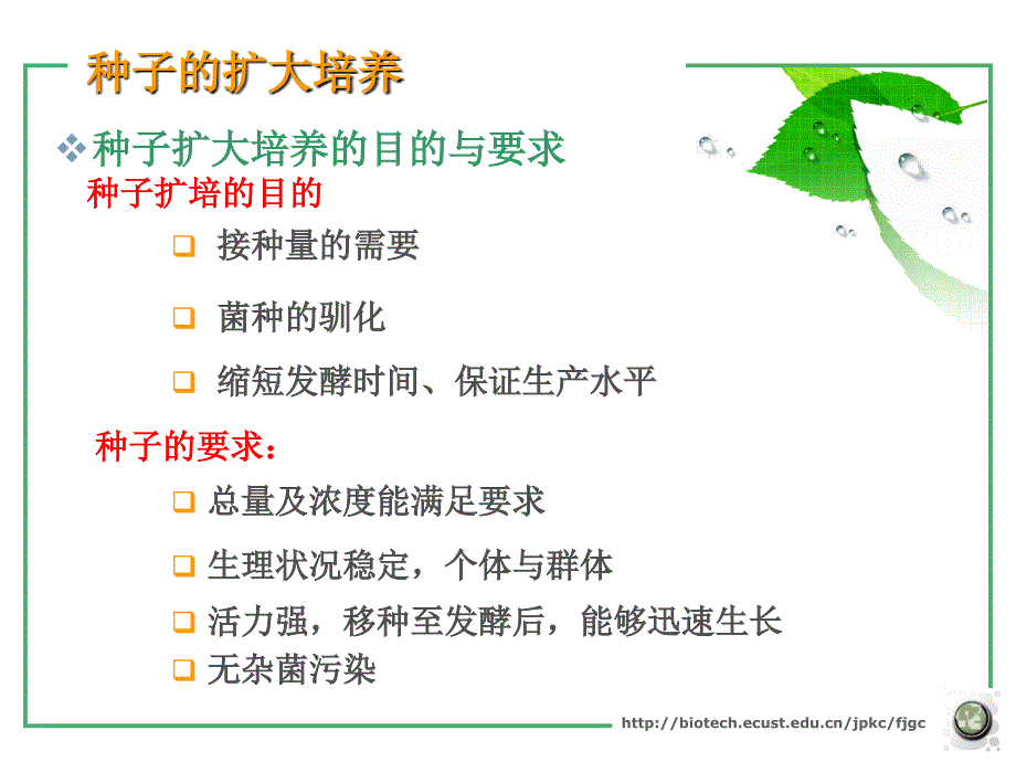 《种子的扩大培养》PPT课件.ppt_第4页