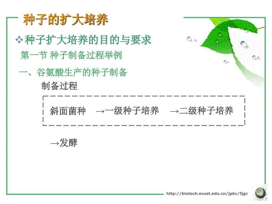 《种子的扩大培养》PPT课件.ppt_第5页