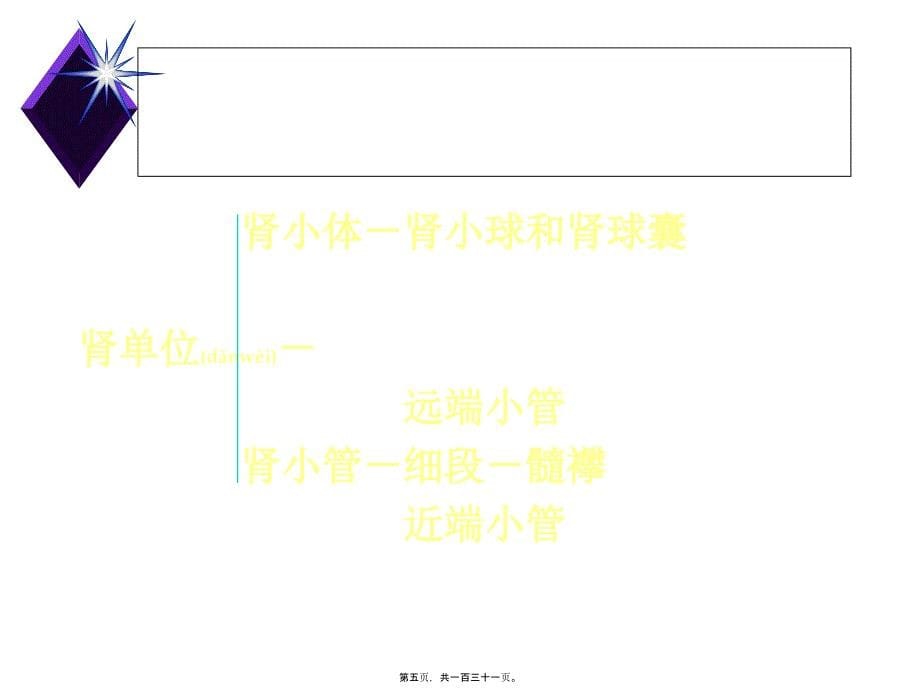 泌尿系统概述课件_第5页