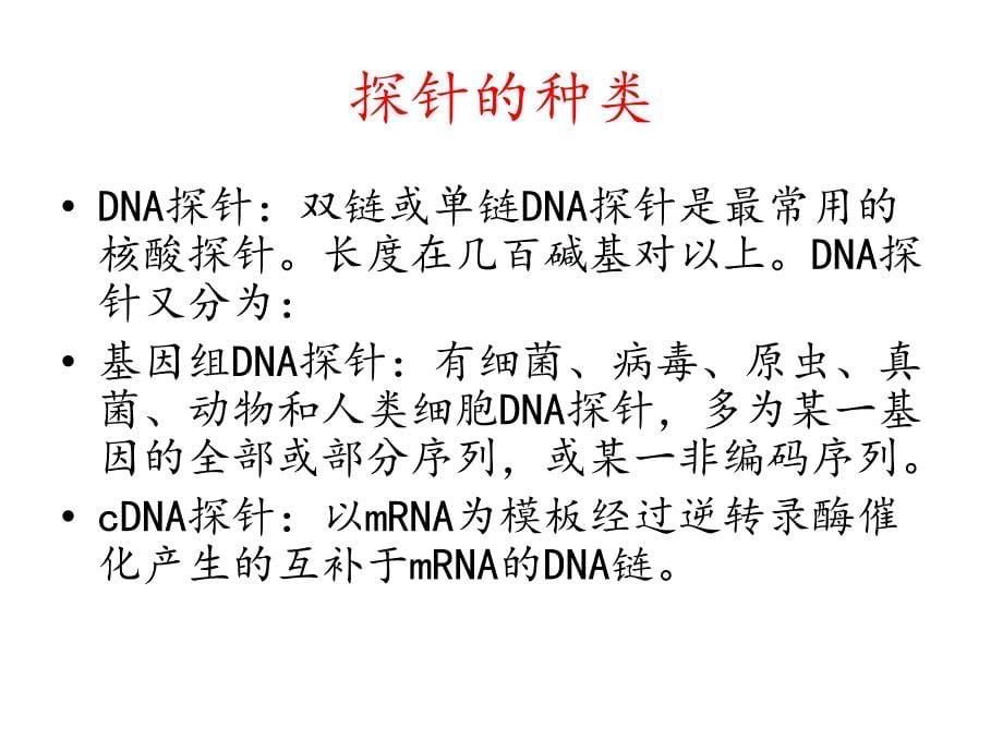 核酸分子杂交与应用课件_第5页