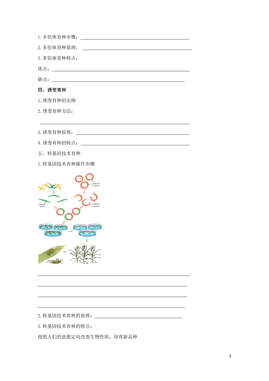 北京市第四中学高考生物专题复习4育种学案0817173_第3页