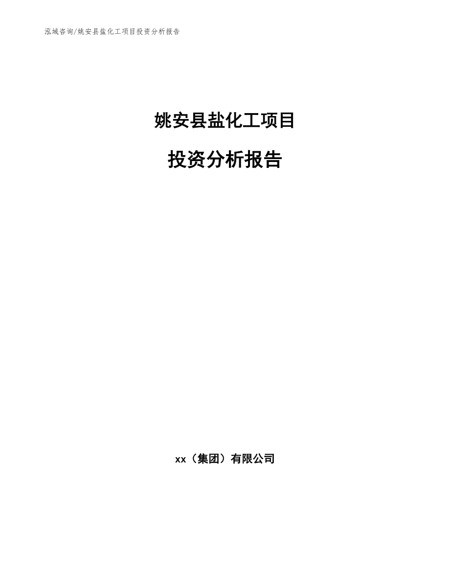 姚安县盐化工项目投资分析报告【参考模板】_第1页