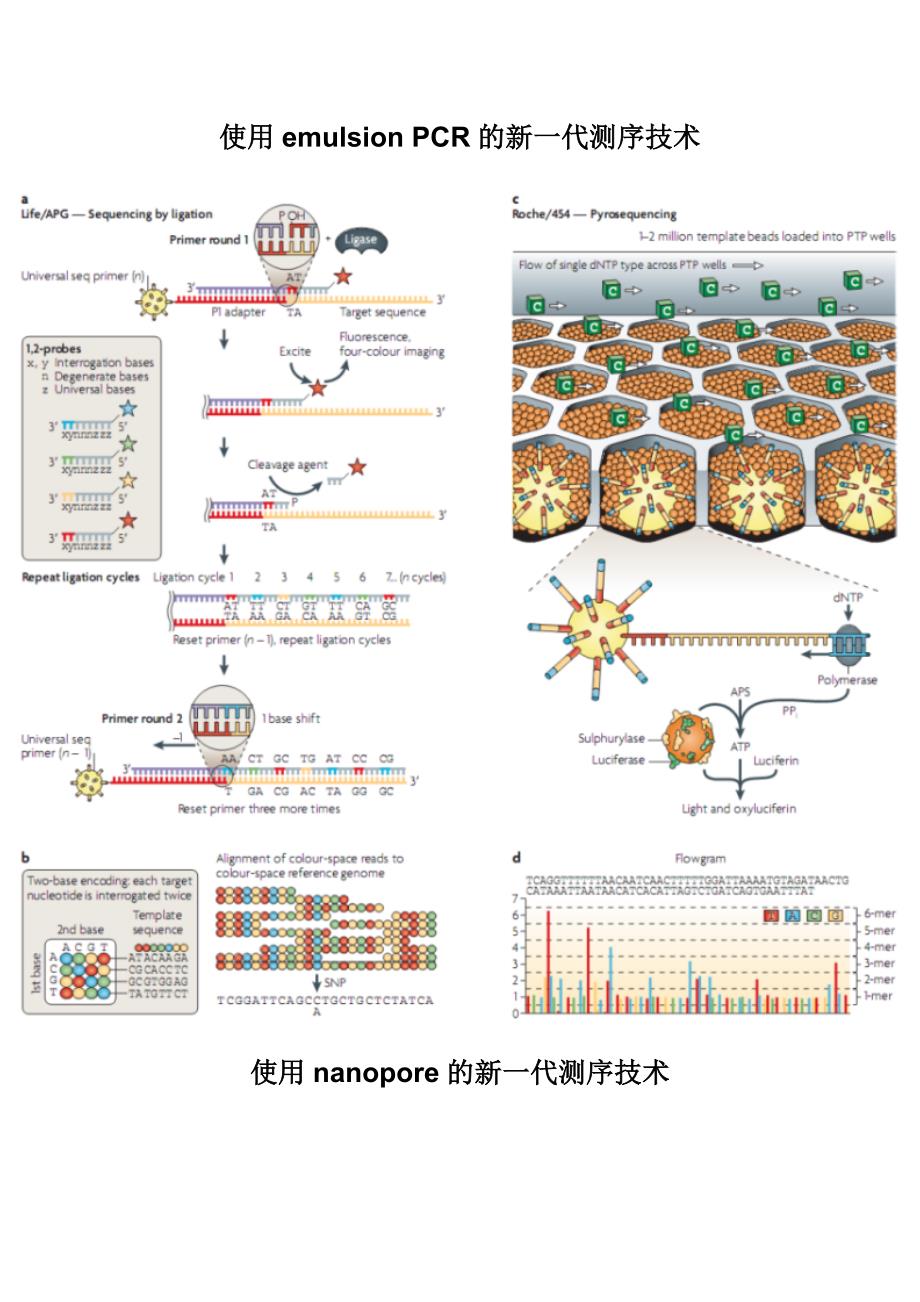 新一代测序技术及其新应用_第2页