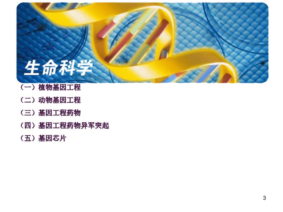 1.3基因工程的应用ppt课件_第3页