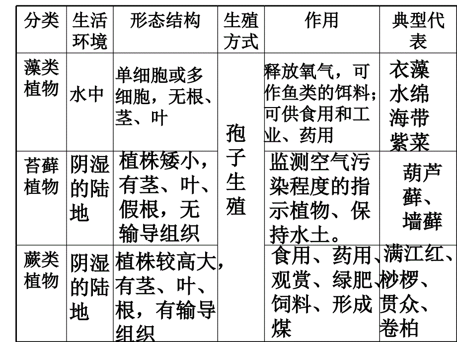 第三单元生物圈中的绿色植物总复习_第4页