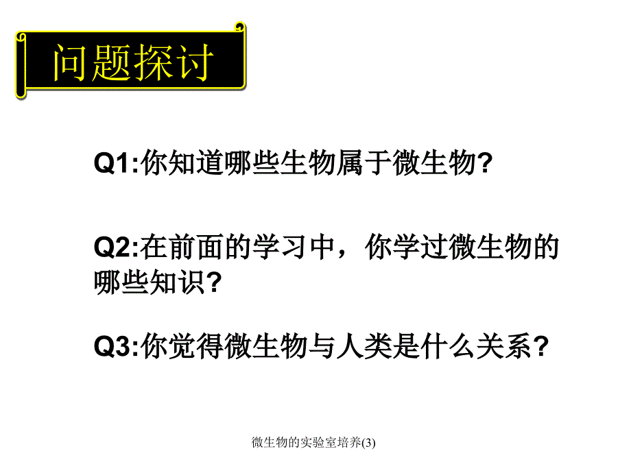 微生物的实验室培养3课件_第2页