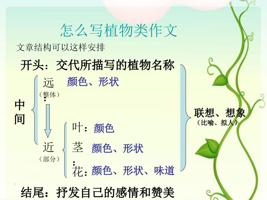 作文《菊花》-PPT课件_第3页