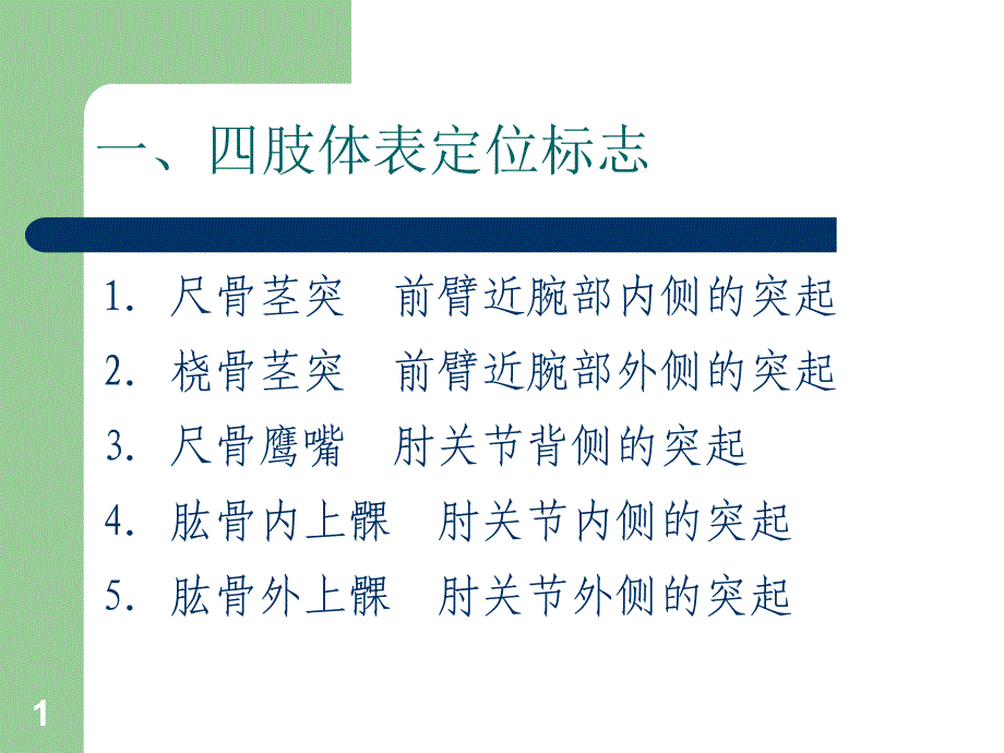 人体体表定位标志ppt参考课件_第1页