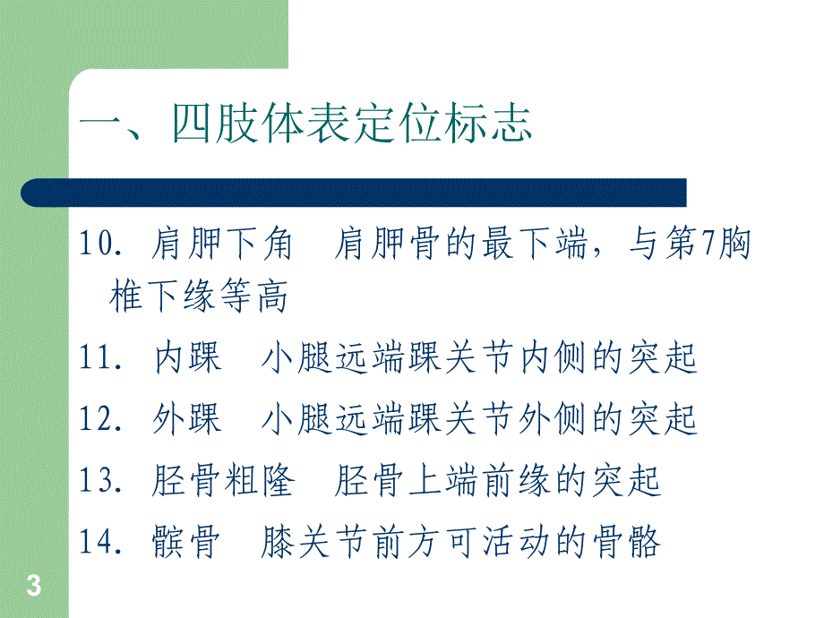 人体体表定位标志ppt参考课件_第3页