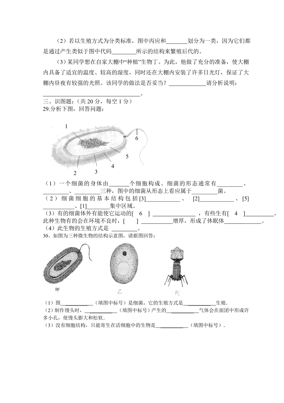 生物薇生物试题MicrosoftWord文档.doc_第4页