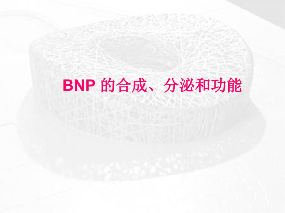 BNP及NTproBNP的临床应用课件幻灯PPT文档资料_第2页