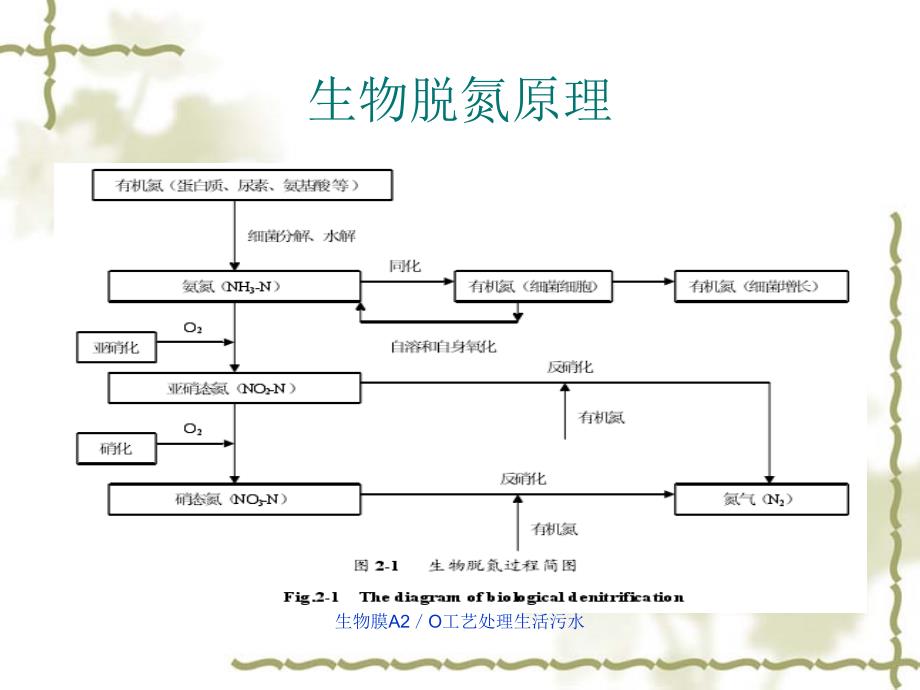 生物膜A2O工艺处理生活污水课件_第2页