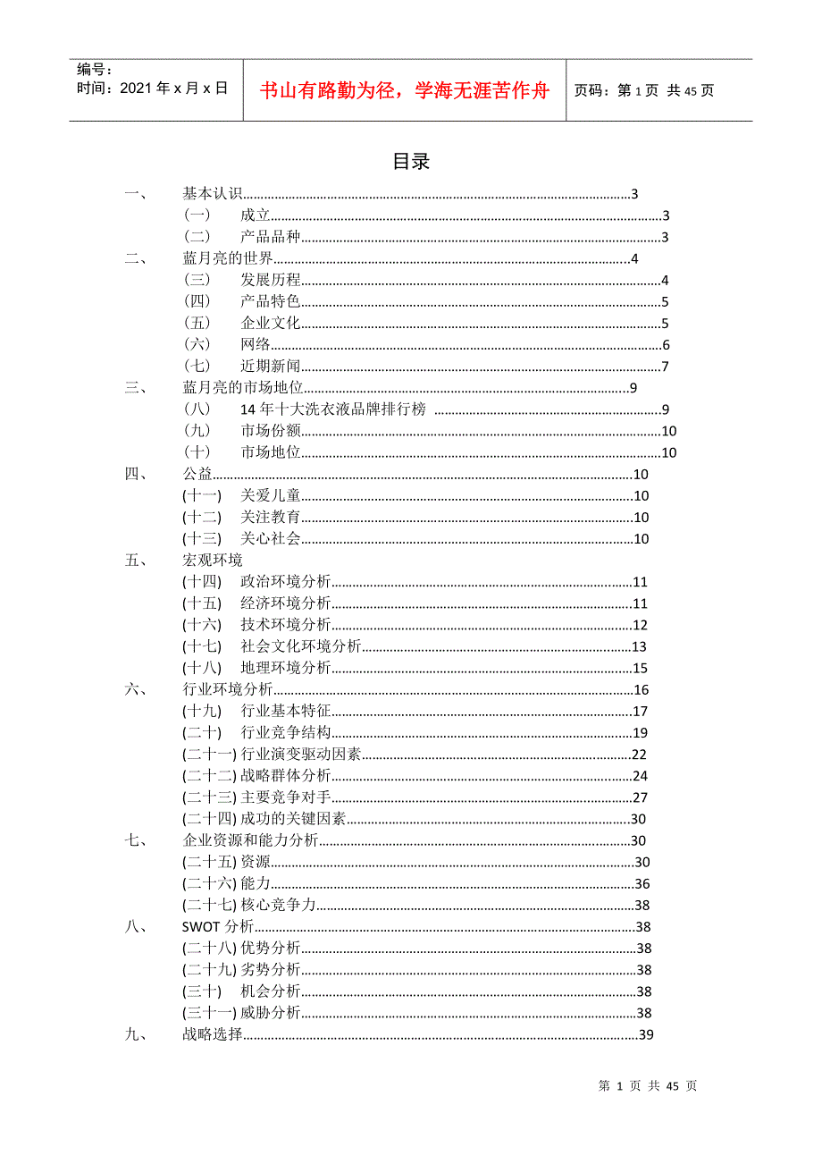 企业战略设计报告_第2页