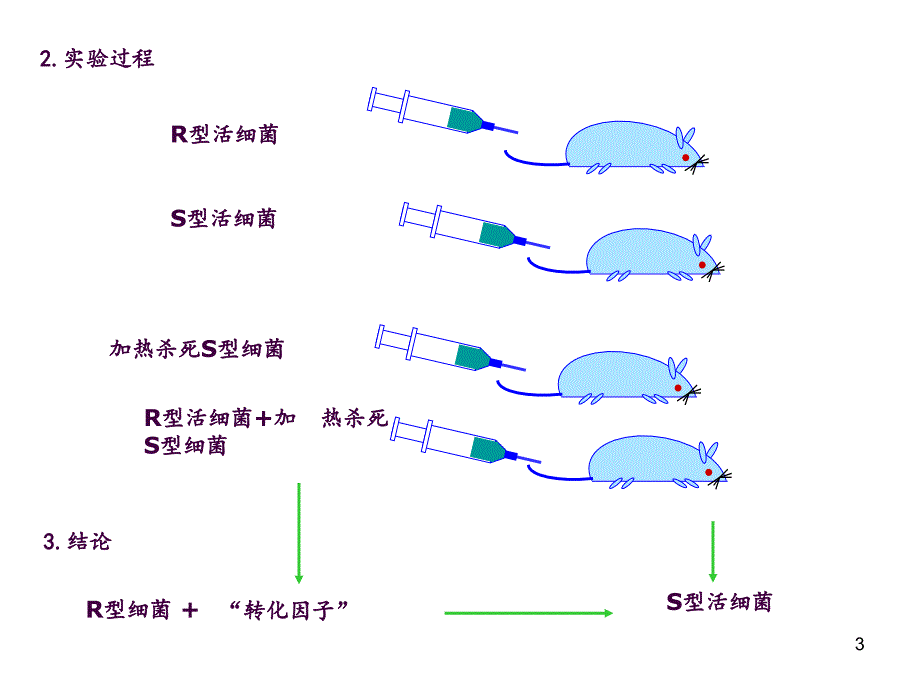 必修2复习基因的本质ppt课件_第3页