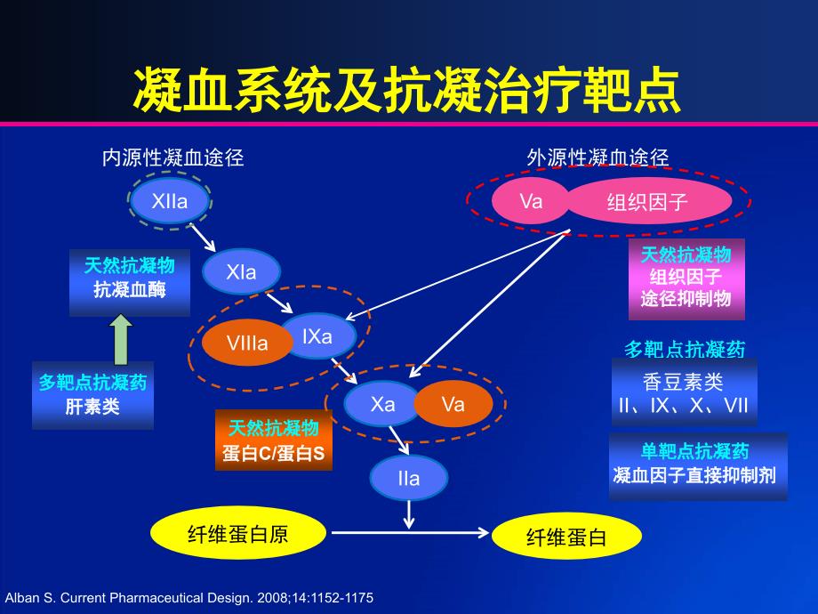 从抗凝机制的角度理解和选择抗凝药物_第2页