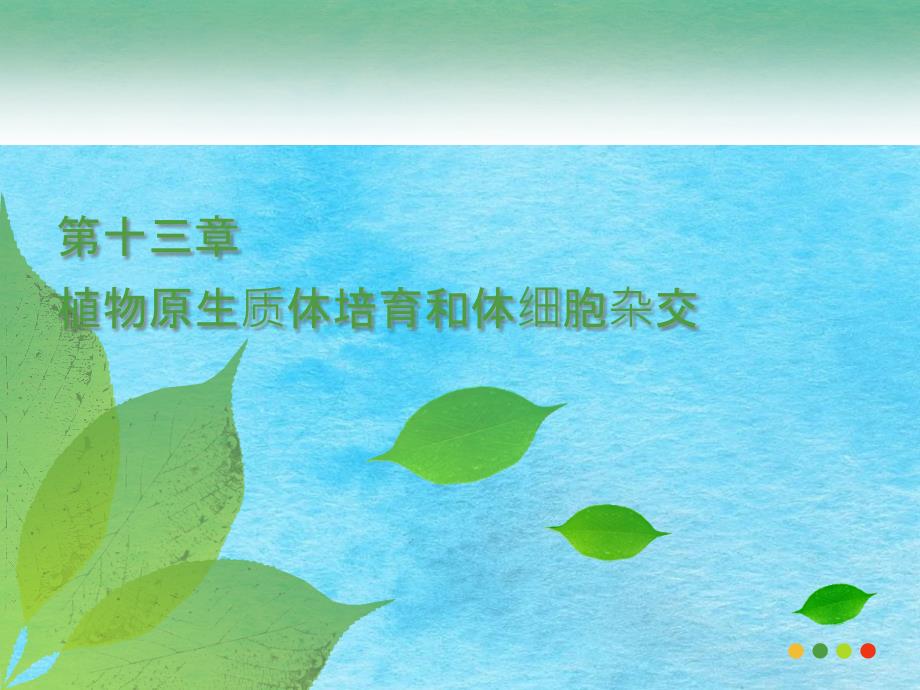 细胞工程植物原生质体培养与体细胞杂交ppt课件_第1页