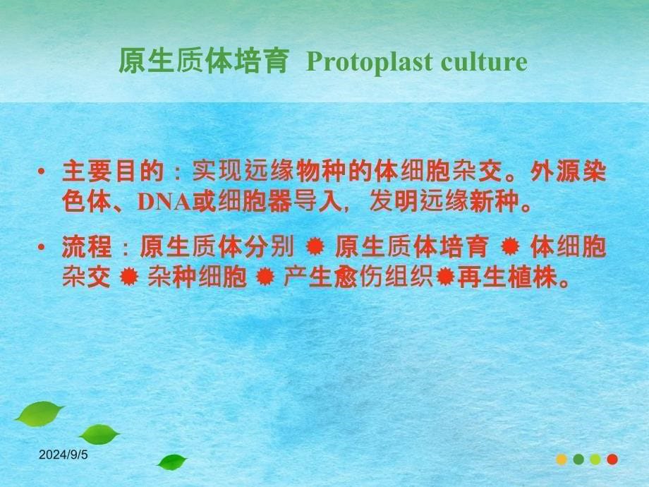 细胞工程植物原生质体培养与体细胞杂交ppt课件_第5页