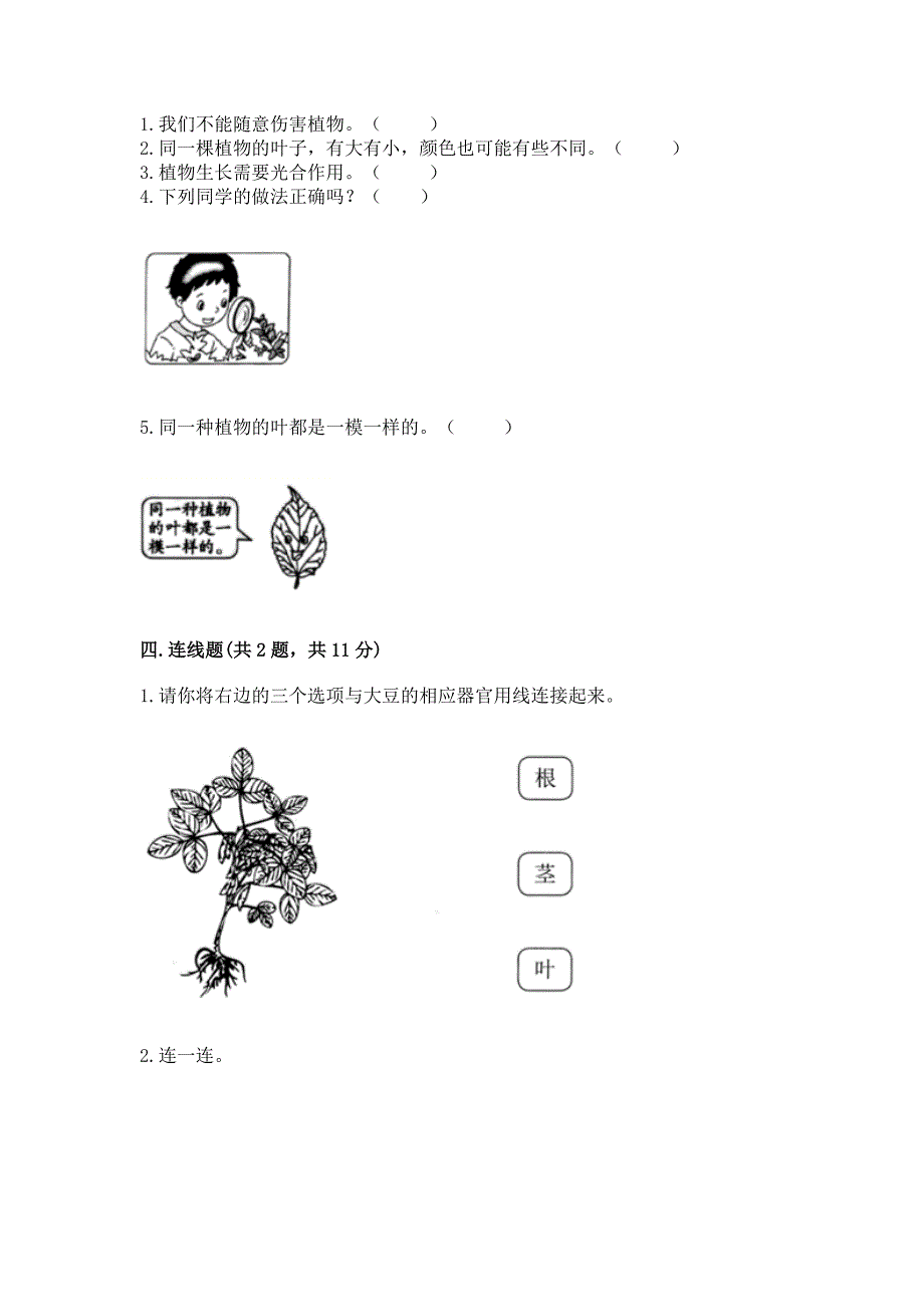 教科版科学一年级上册第一单元《植物》测试卷【夺分金卷】.docx_第2页