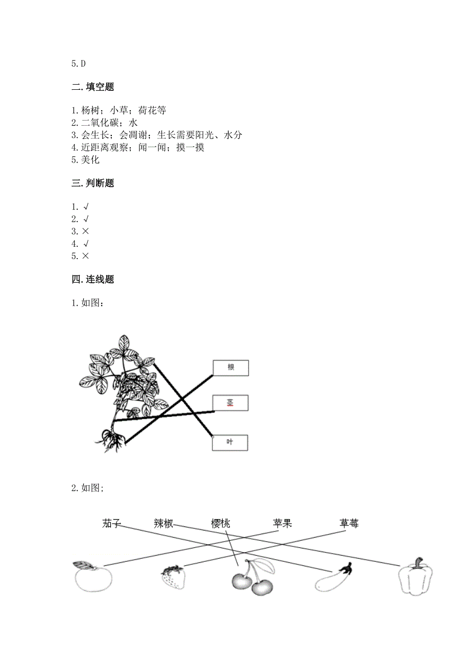 教科版科学一年级上册第一单元《植物》测试卷【夺分金卷】.docx_第5页