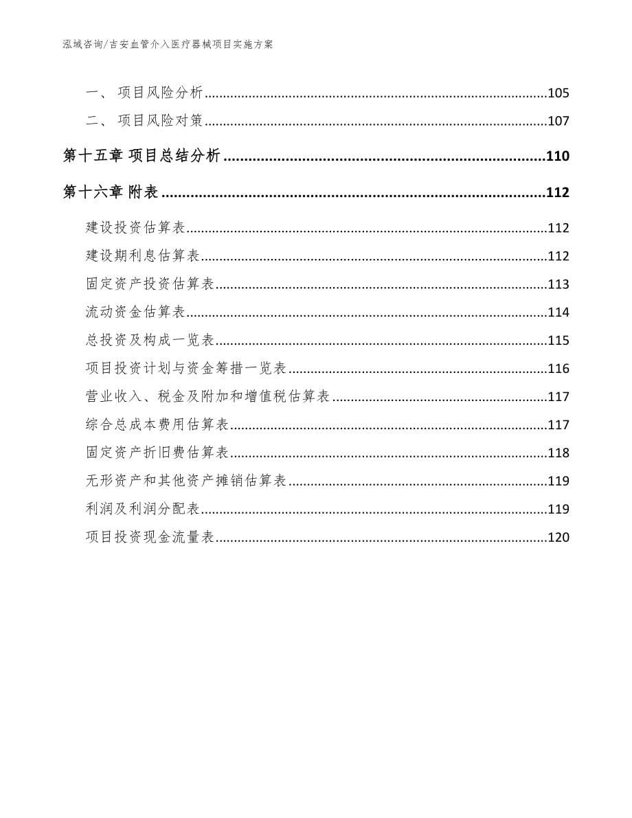 吉安血管介入医疗器械项目实施方案【范文模板】_第5页