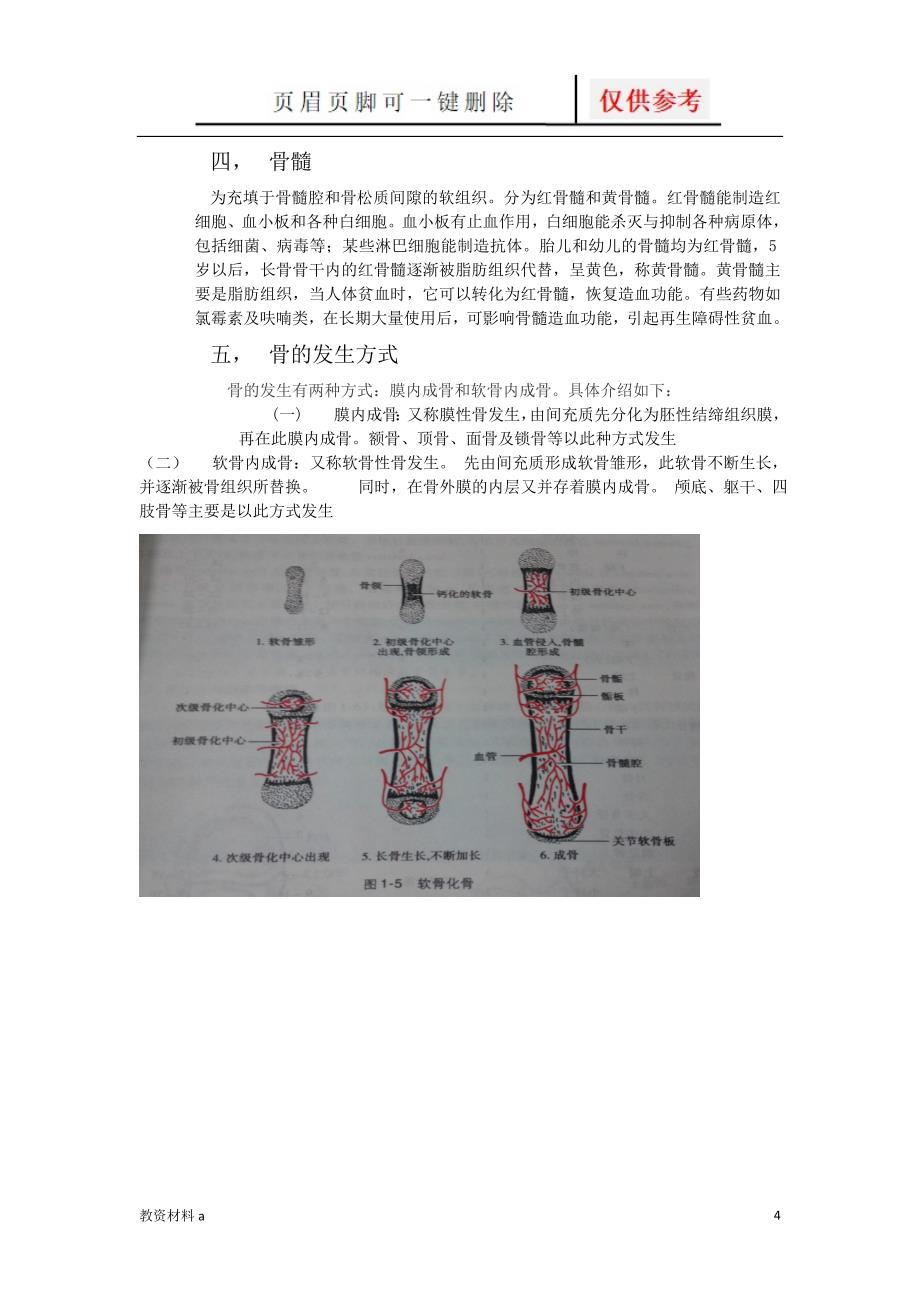 骨的结构及其组成成分[沐风书屋]_第4页