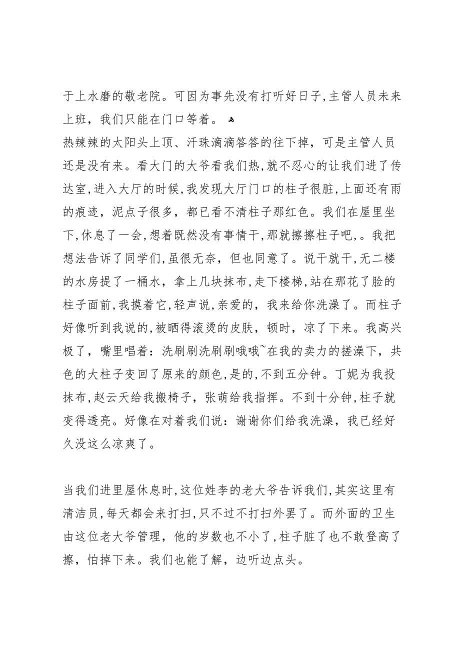 敬老院志愿服务总结范文合集_第5页