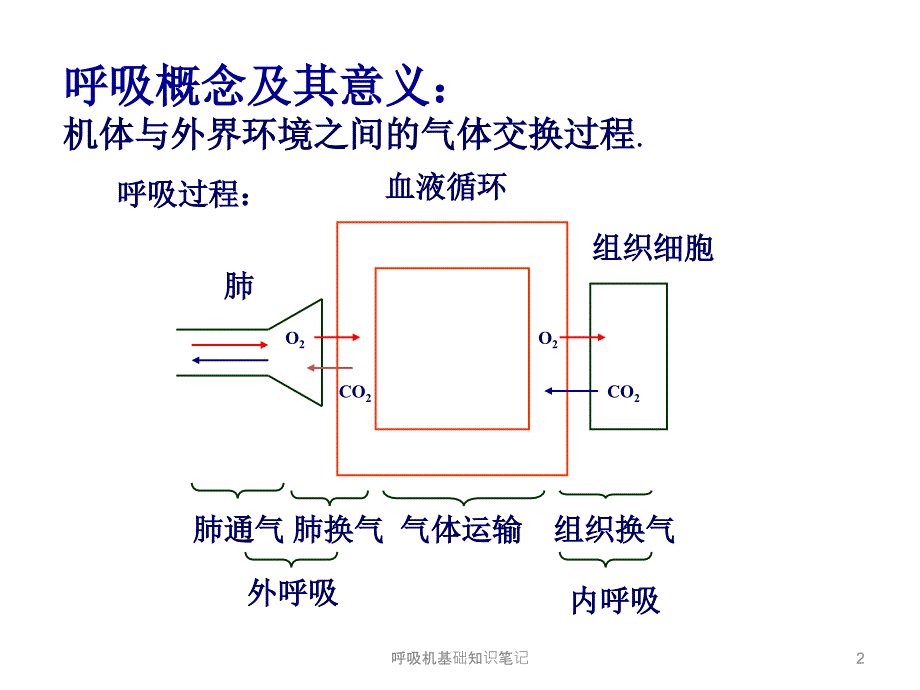 呼吸机基础知识笔记课件_第2页