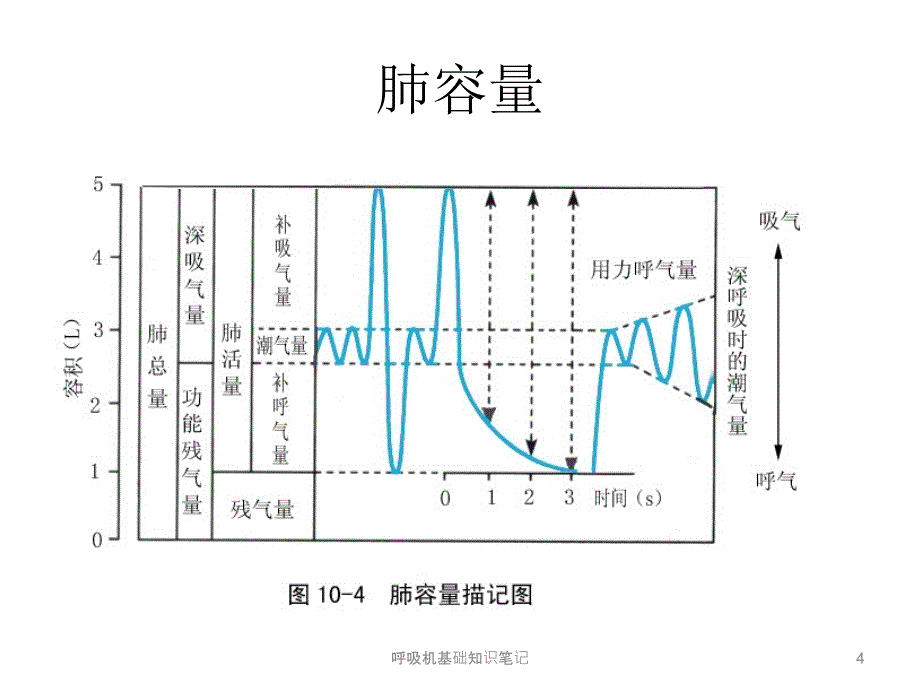 呼吸机基础知识笔记课件_第4页