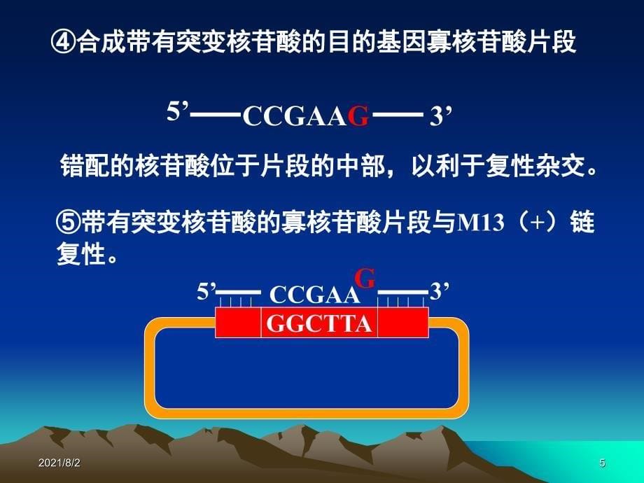 第十章基因工程的应用_第5页