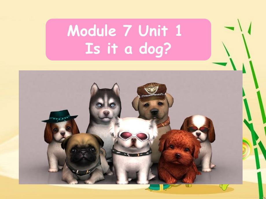 一年级上册英语课件Module 7 Unit 1 Is it a dog 2｜外研社一起(共22张PPT)教学文档_第1页