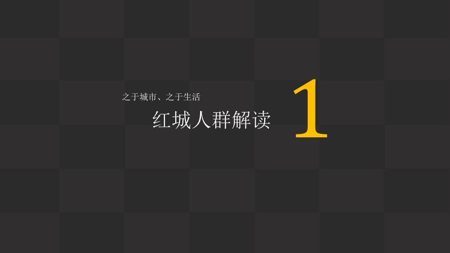 XX地产项目推广创意策划书课件_第3页