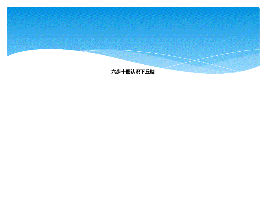 下丘脑影像解剖_第1页