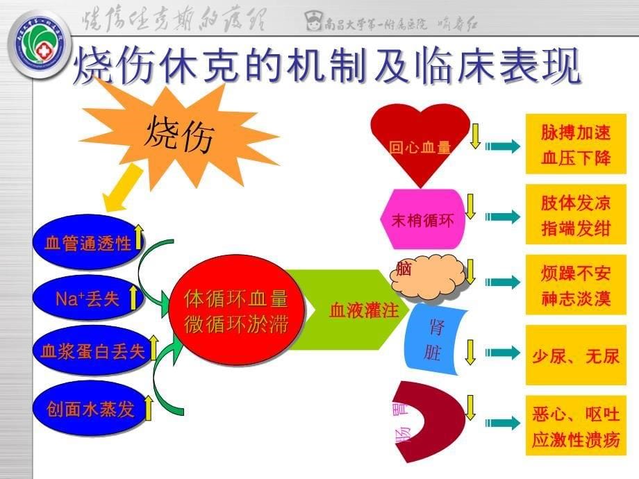 烧伤休克期的护理_第5页