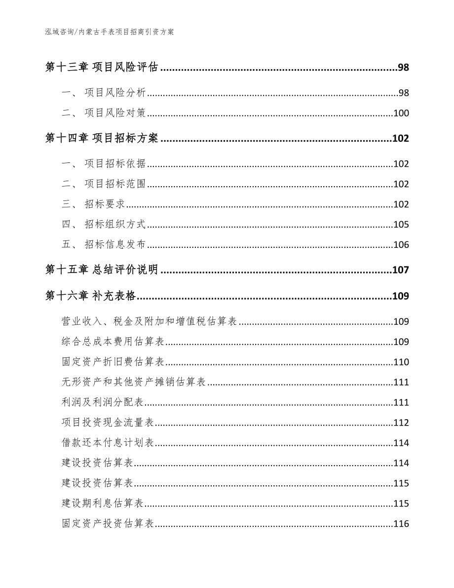 内蒙古手表项目招商引资方案_第5页