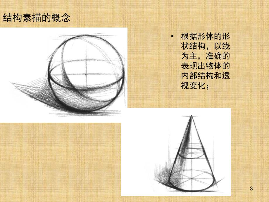 结构素描课堂PPT_第3页