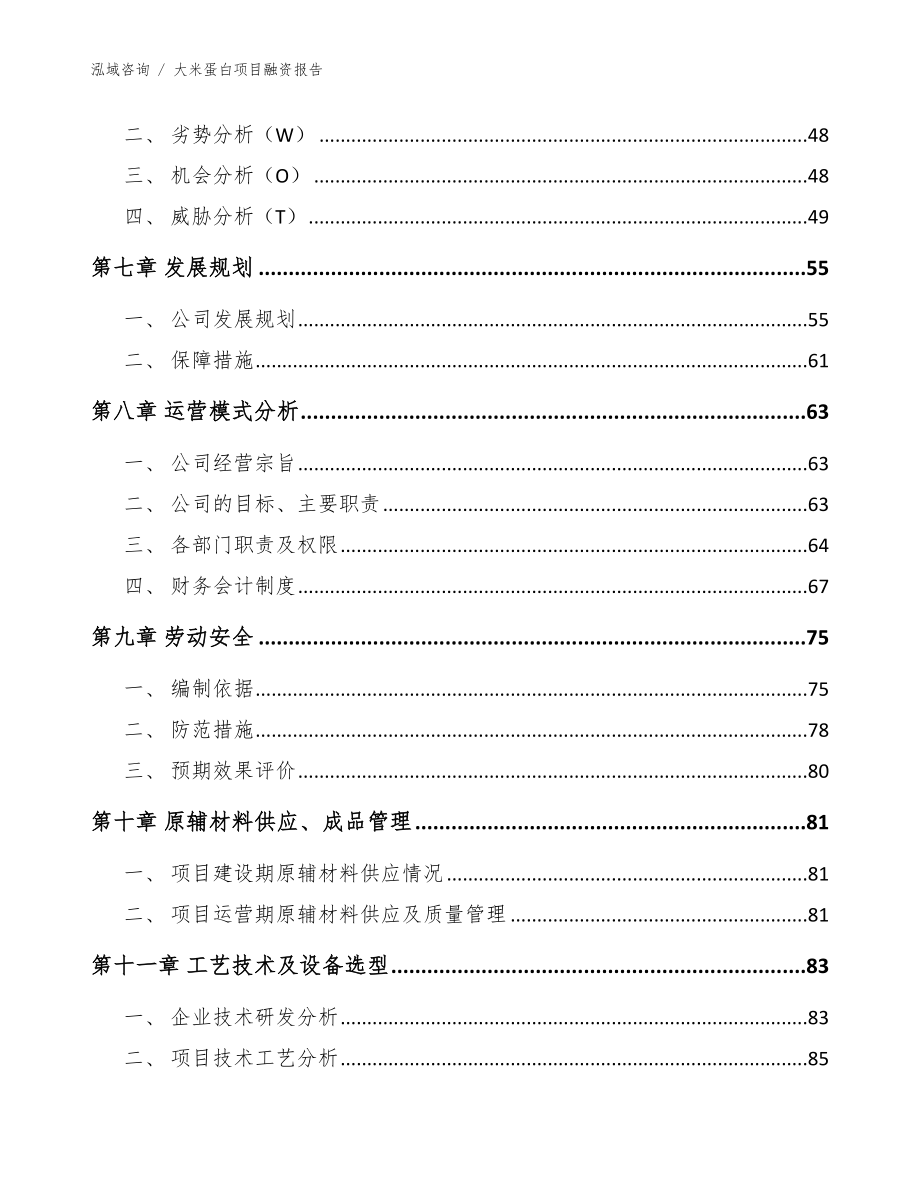 大米蛋白项目融资报告（模板范本）_第4页