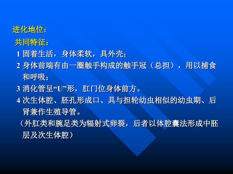 第十十三章总担棘皮半索动物门_第2页