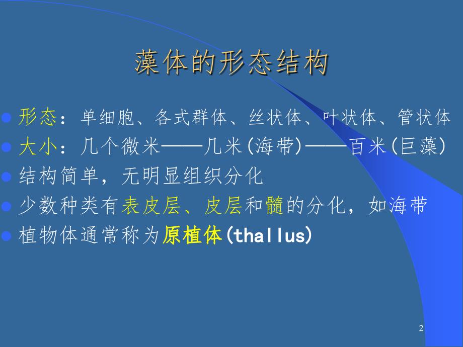 真核藻类植物学幻灯片_第2页