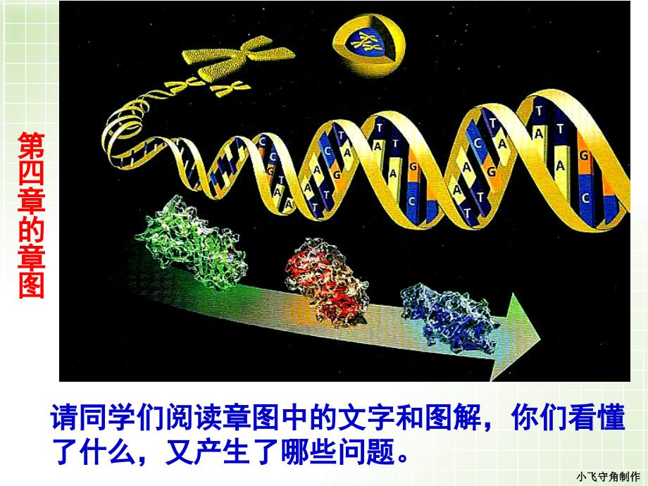 基因指导蛋白质的合成(优秀公开课课件)_第3页