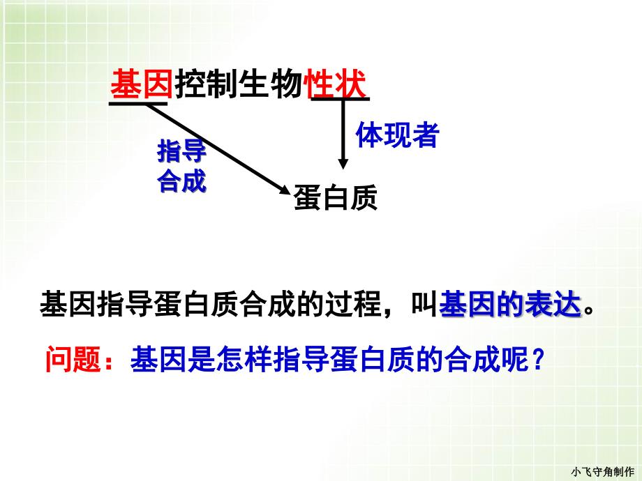 基因指导蛋白质的合成(优秀公开课课件)_第4页