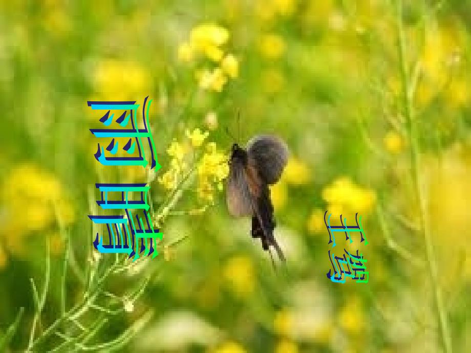(五四制)沪教版语文六下雨晴ppt课件1_第1页