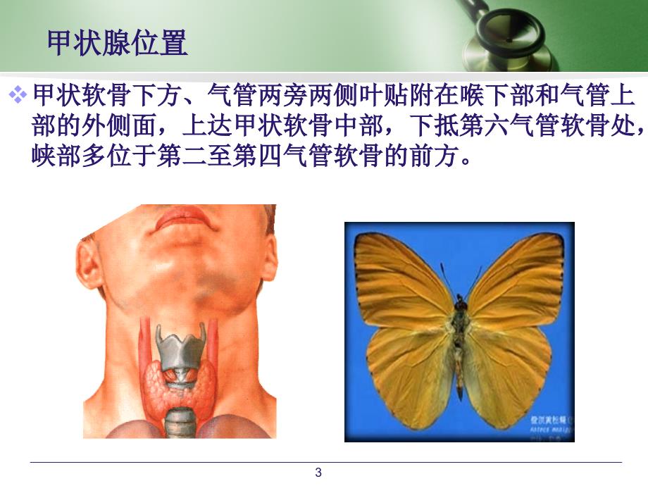 医学PPT课件甲状腺的术后护理_第3页