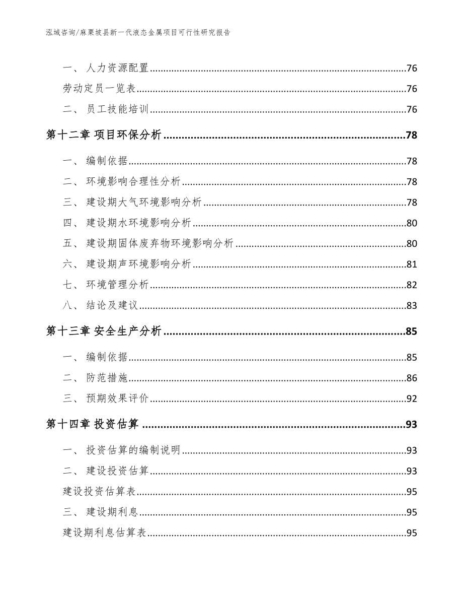 麻栗坡县新一代液态金属项目可行性研究报告_第5页