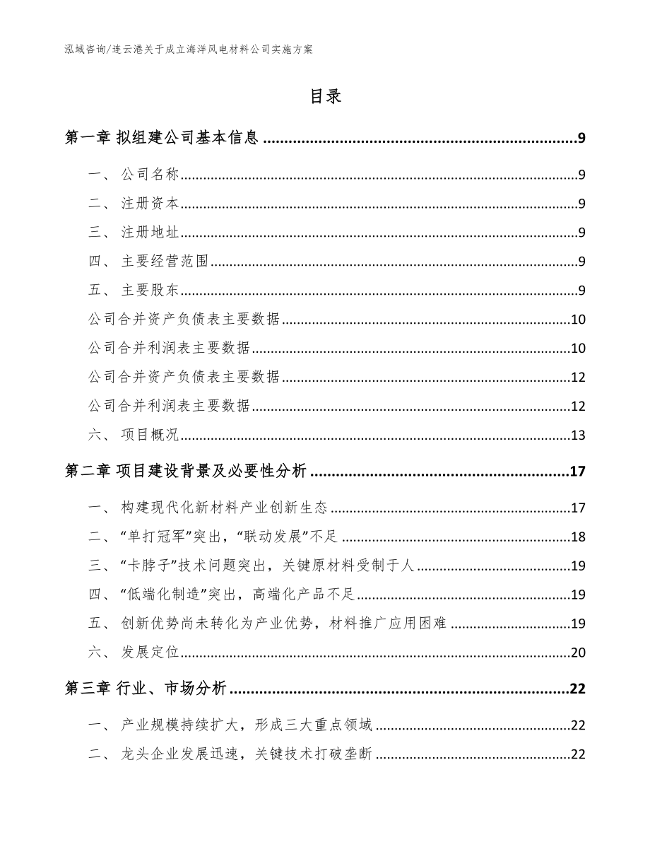 连云港关于成立海洋风电材料公司实施方案【参考范文】_第2页