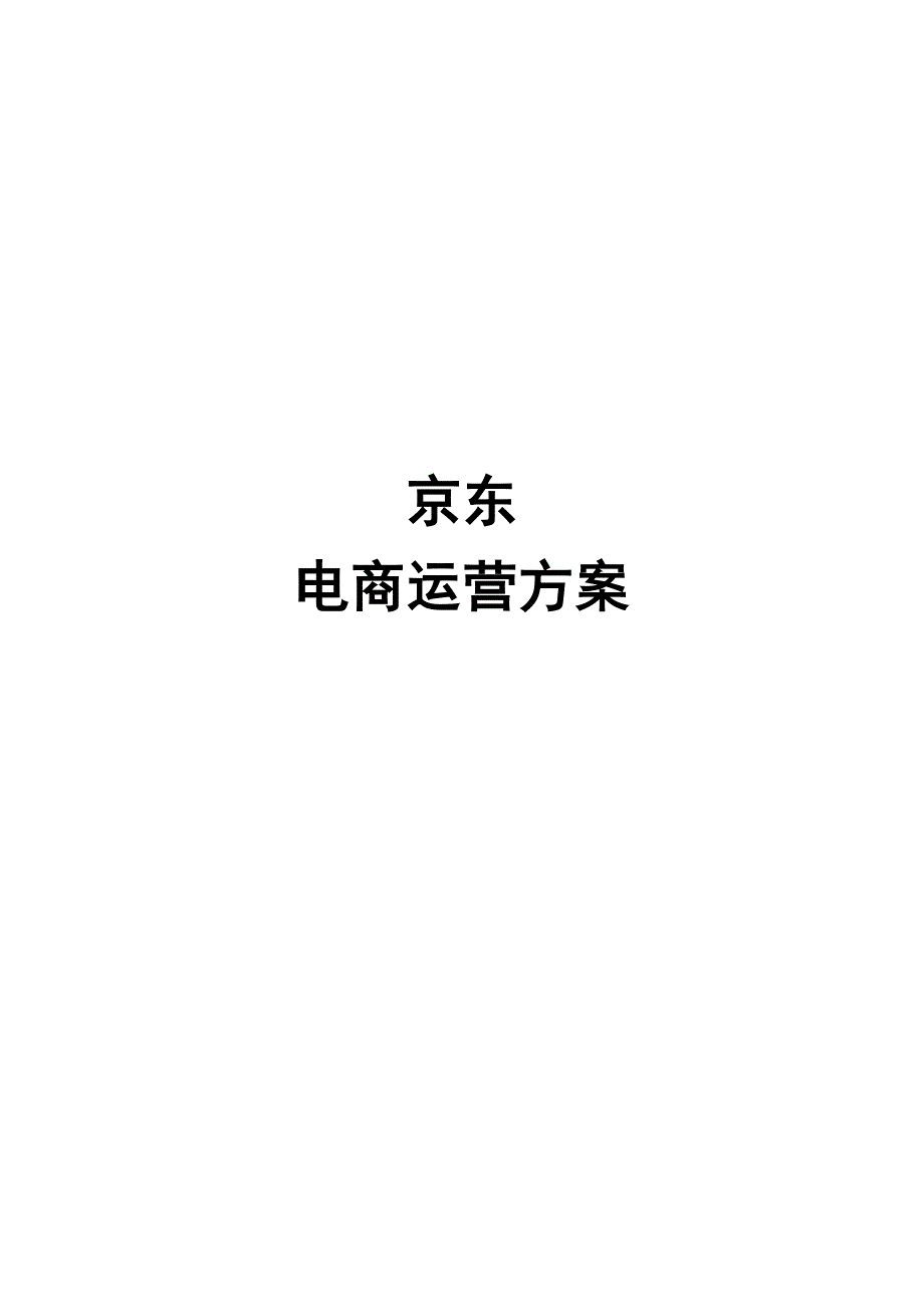 京东电商运营方案.docx_第1页